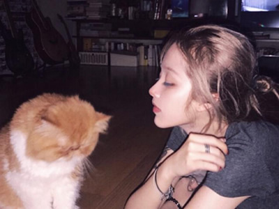 撩汉套路技巧,撩汉全攻略!