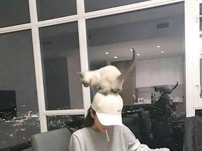 男生追太急要答应他吗?男生追太急怎么应对?