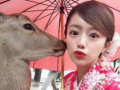 追男生经验分享?女生怎么追一个比较内向的男生?