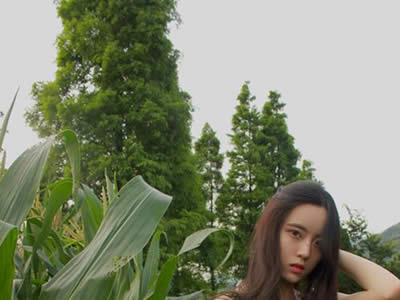 追男生的表情包怎么找?倒追男生成功率表情包推荐!